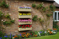 Vertical 4-Tier Wall Planter - Wooden Garden Planter | FRYDECO