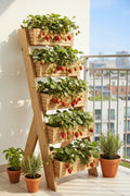 5-Tier Wooden Planter Stand - Garden Plant Display Stand | FRYDECO