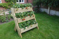 3-Tier Wooden Planter Stand - Garden Plant Display Stand | FRYDECO - FRYDECO 